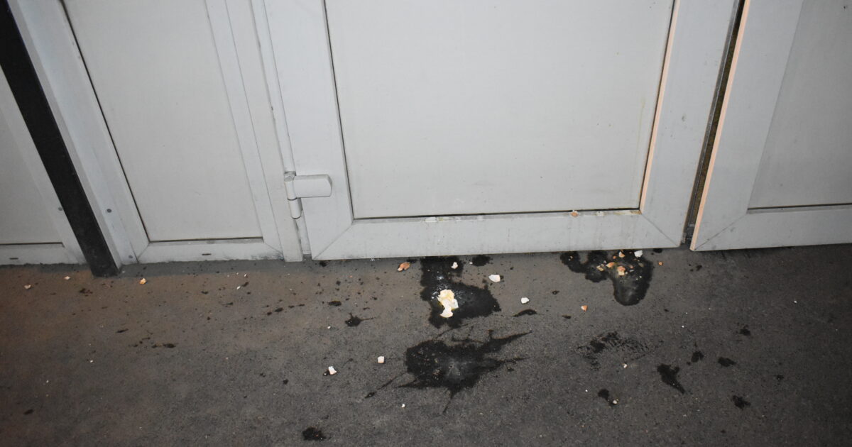 Входная группа здания Администрации Рязани на ул. Введенской, 107. Крыльцо в разбитых куриных яйцах.